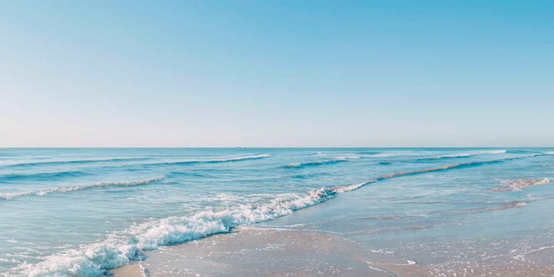 Verão Dakota: Nova Cápsula Fundo Do Mar